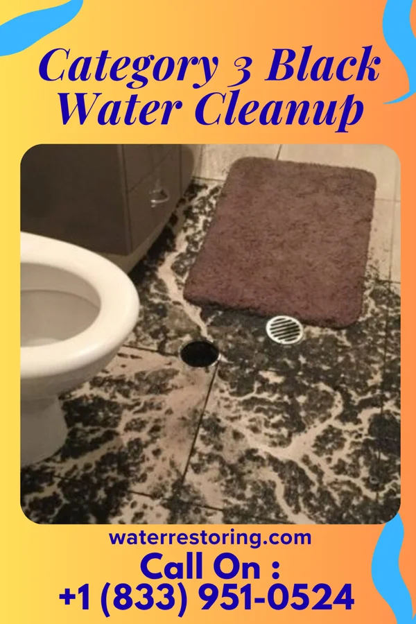 Category 3 Black Water Cleanup in Bernice, OK